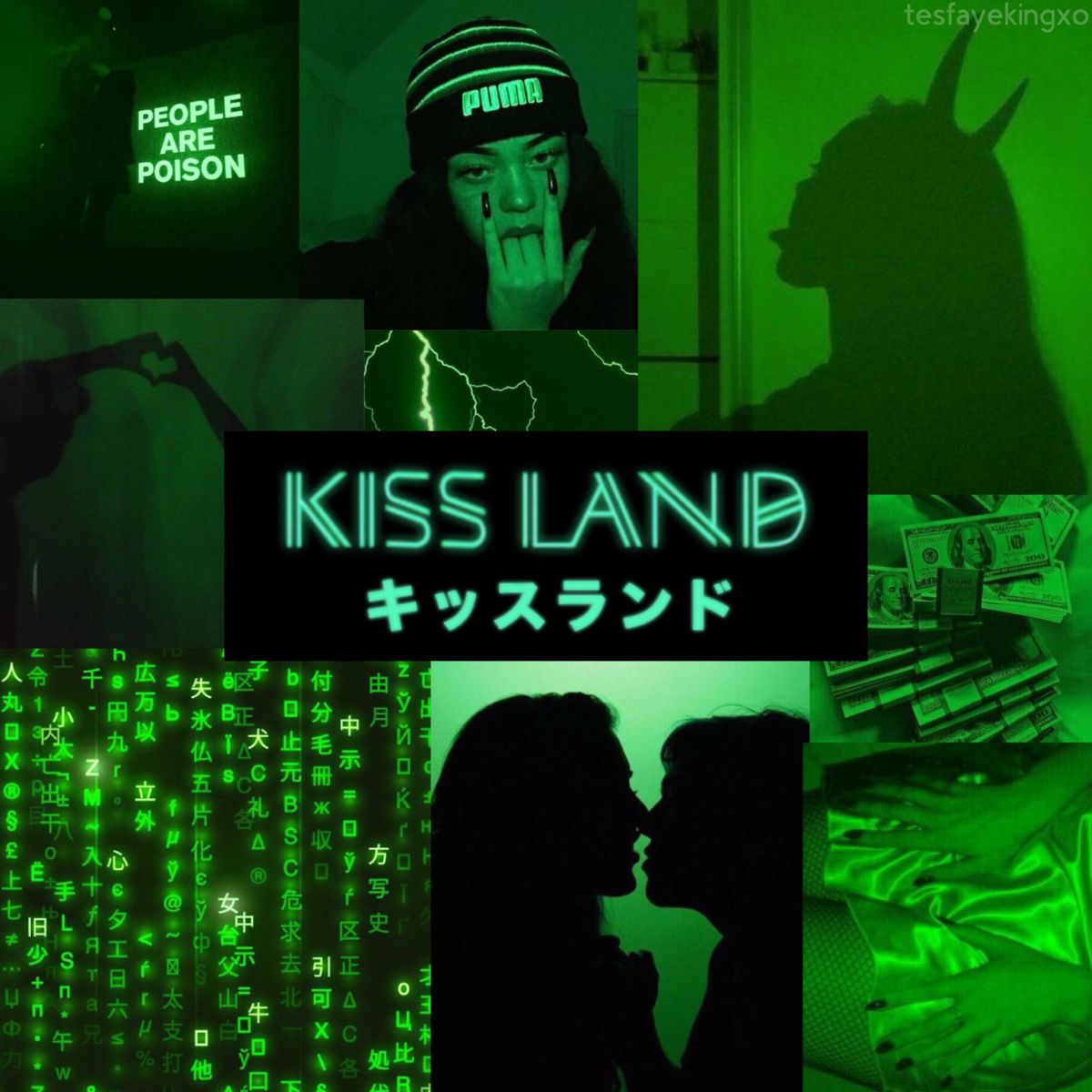 The Kiss Land Album Cover
